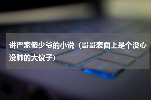 讲严家傻少爷的小说（哥哥表面上是个没心没肺的大傻子）