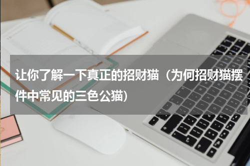 让你了解一下真正的招财猫（为何招财猫摆件中常见的三色公猫）