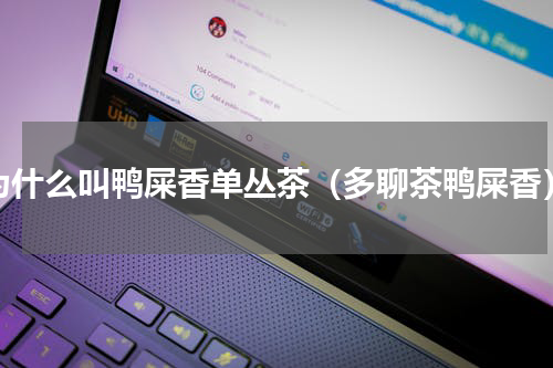 为什么叫鸭屎香单丛茶（多聊茶鸭屎香）
