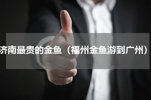 济南最贵的金鱼（福州金鱼游到广州）