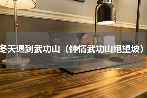 冬天遇到武功山（钟情武功山绝望坡）