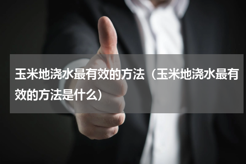 玉米地浇水最有效的方法（玉米地浇水最有效的方法是什么）