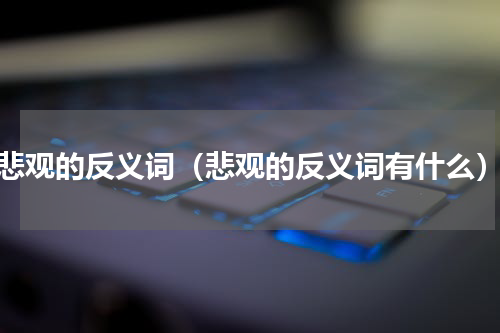 悲观的反义词（悲观的反义词有什么）