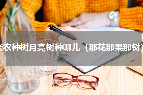 老农种树月亮树种哪儿（那花那果那树）