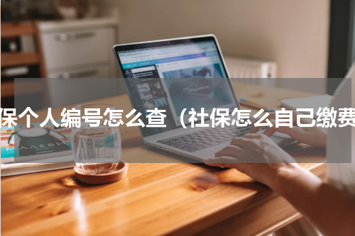 社保个人编号怎么查（社保怎么自己缴费）