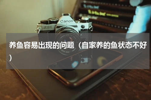 养鱼容易出现的问题（自家养的鱼状态不好）