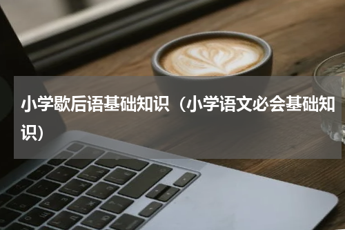 小学歇后语基础知识（小学语文必会基础知识）