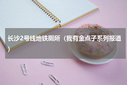 长沙2号线地铁厕所（我有金点子系列报道）