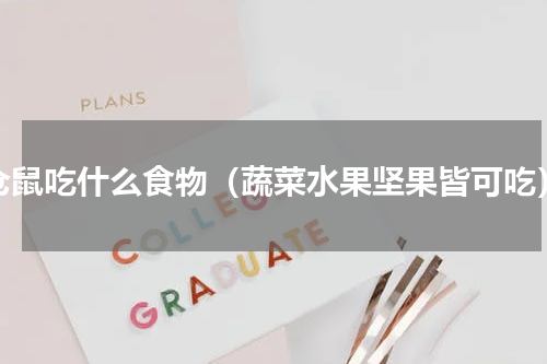 仓鼠吃什么食物（蔬菜水果坚果皆可吃）