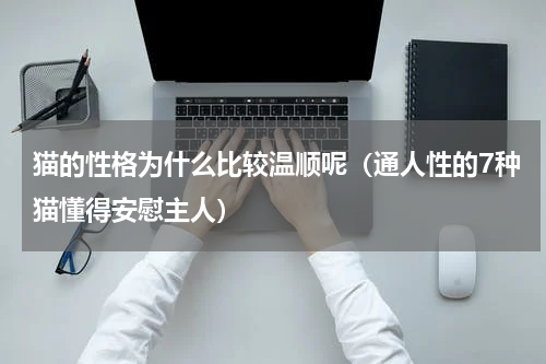 猫的性格为什么比较温顺呢（通人性的7种猫懂得安慰主人）