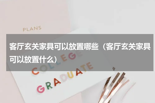 客厅玄关家具可以放置哪些（客厅玄关家具可以放置什么）