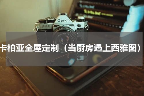 卡柏亚全屋定制（当厨房遇上西雅图）
