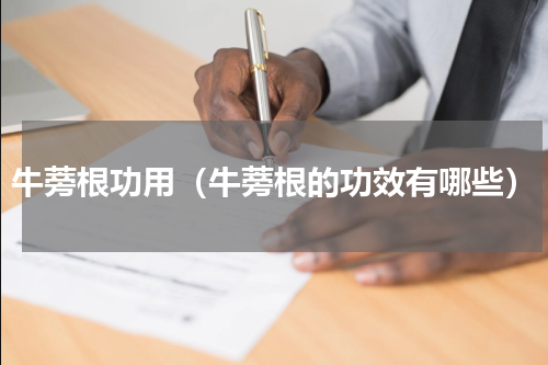 牛蒡根功用（牛蒡根的功效有哪些）