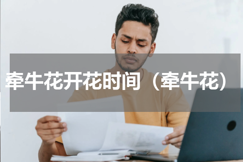 牵牛花开花时间（牵牛花）