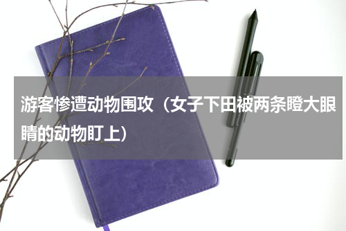 游客惨遭动物围攻（女子下田被两条瞪大眼睛的动物盯上）