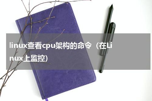 linux查看cpu架构的命令（在Linux上监控）