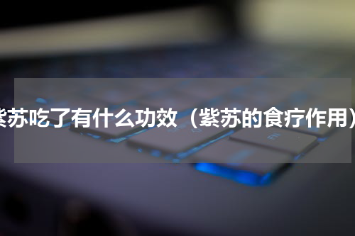 紫苏吃了有什么功效（紫苏的食疗作用）