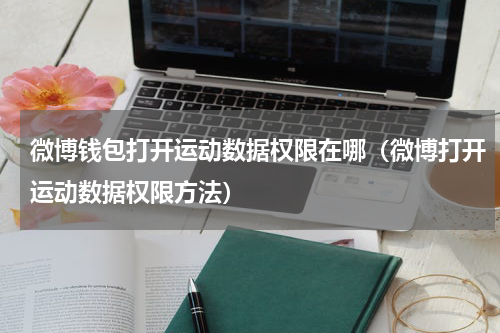 微博钱包打开运动数据权限在哪（微博打开运动数据权限方法）