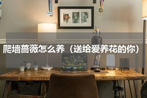 爬墙蔷薇怎么养（送给爱养花的你）