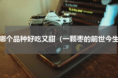 枣哪个品种好吃又甜（一颗枣的前世今生）