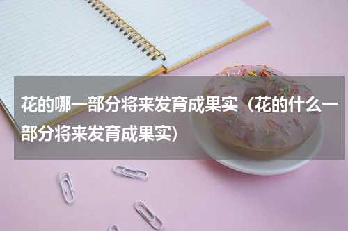 花的哪一部分将来发育成果实（花的什么一部分将来发育成果实）