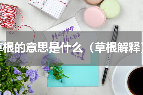 草根的意思是什么（草根解释）