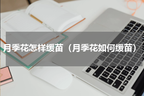 月季花怎样缓苗（月季花如何缓苗）