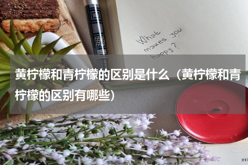 黄柠檬和青柠檬的区别是什么（黄柠檬和青柠檬的区别有哪些）