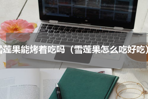 雪莲果能烤着吃吗（雪莲果怎么吃好吃）