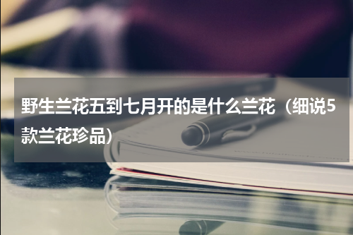 野生兰花五到七月开的是什么兰花（细说5款兰花珍品）