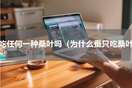 蚕吃任何一种桑叶吗（为什么蚕只吃桑叶）