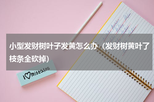 小型发财树叶子发黄怎么办（发财树黄叶了枝条全砍掉）