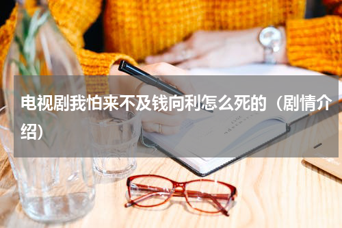 电视剧我怕来不及钱向利怎么死的（剧情介绍）