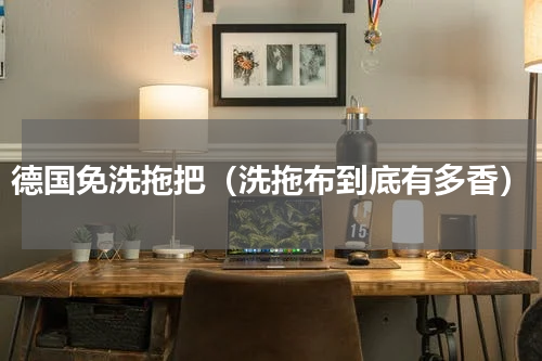 德国免洗拖把（洗拖布到底有多香）