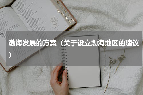 渤海发展的方案（关于设立渤海地区的建议）
