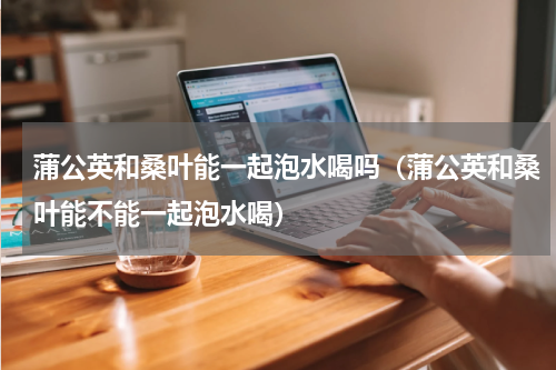 蒲公英和桑叶能一起泡水喝吗（蒲公英和桑叶能不能一起泡水喝）