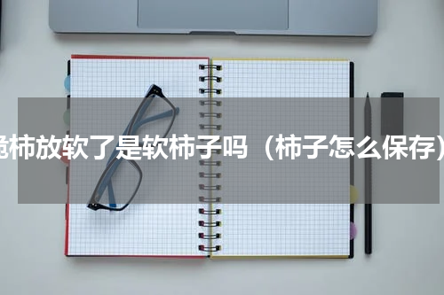 脆柿放软了是软柿子吗（柿子怎么保存）