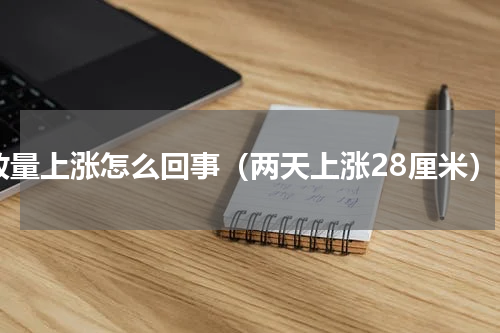 放量上涨怎么回事（两天上涨28厘米）