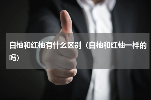 白柚和红柚有什么区别（白柚和红柚一样的吗）