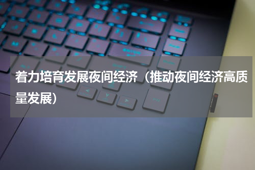 着力培育发展夜间经济（推动夜间经济高质量发展）
