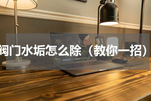 阀门水垢怎么除（教你一招）