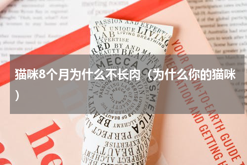 猫咪8个月为什么不长肉（为什么你的猫咪）