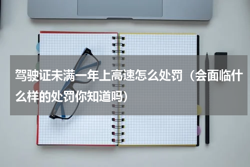 驾驶证未满一年上高速怎么处罚（会面临什么样的处罚你知道吗）