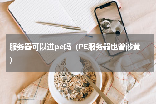 服务器可以进pe吗（PE服务器也曾涉黄）
