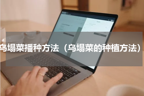 乌塌菜播种方法（乌塌菜的种植方法）