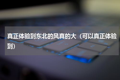 真正体验到东北的风真的大（可以真正体验到）