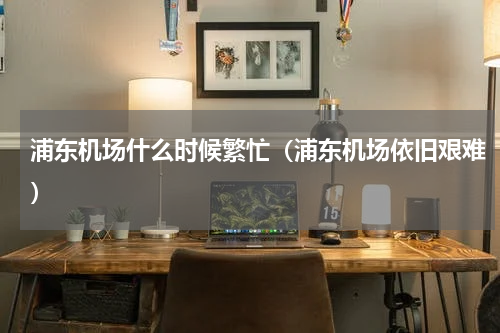 浦东机场什么时候繁忙（浦东机场依旧艰难）