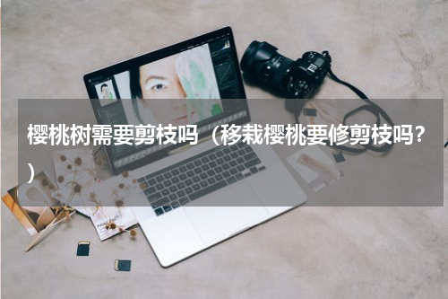 樱桃树需要剪枝吗（移栽樱桃要修剪枝吗？）