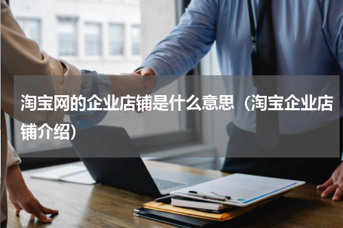 淘宝网的企业店铺是什么意思（淘宝企业店铺介绍）