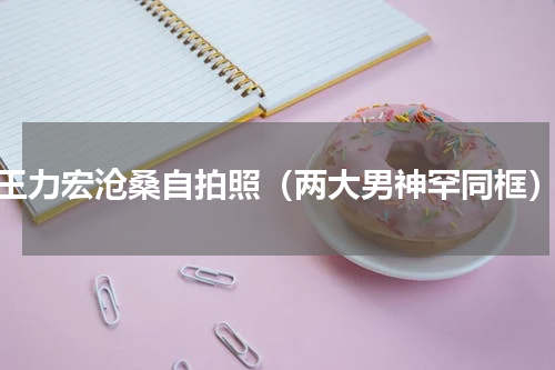 王力宏沧桑自拍照（两大男神罕同框）
